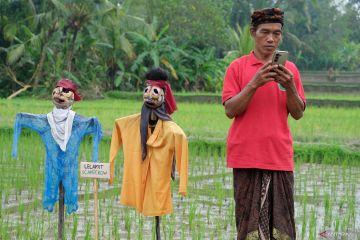 Transformasi Digital Pertanian Indonesia yang Menjanjikan