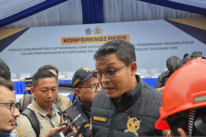 Dirjen Pajak Ungkap 282 Perusahaan Langgar Aturan Ekspor CPO